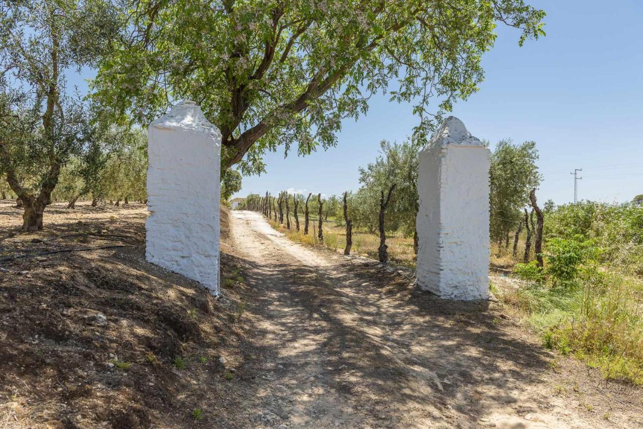Hacienda San Antonio Villa Marchena  Eksteriør bilde